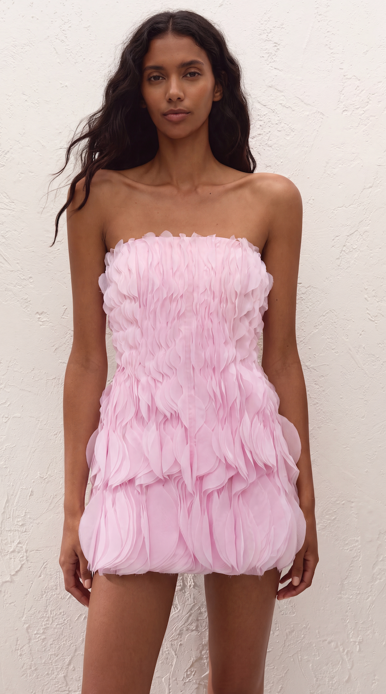 Christabel Chiffon Mini Dress