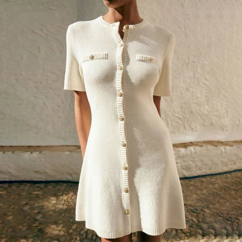 Diana Tricot Ribbed Knit Dress